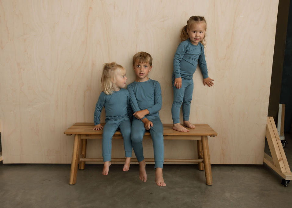 2 Piece Long Sleeve Pajamas - Sylvan