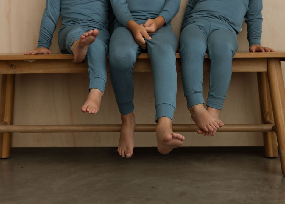 2 Piece Long Sleeve Pajamas - Sylvan