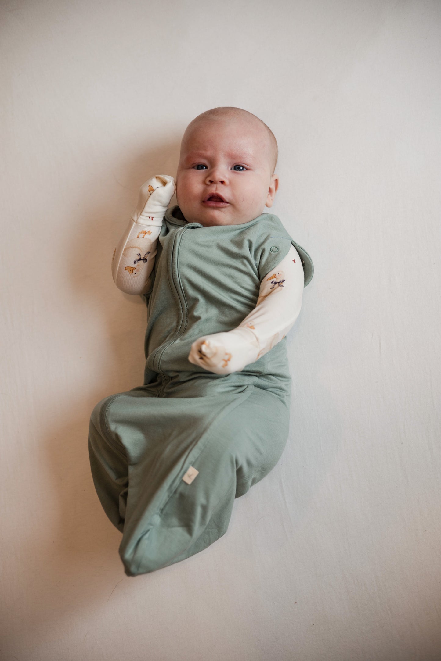 Transition Swaddle Sack